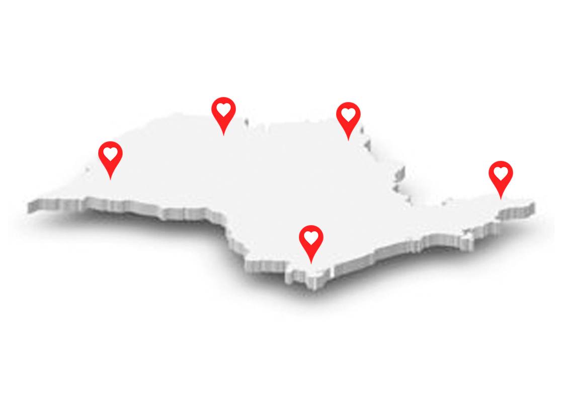 mapa-pins
